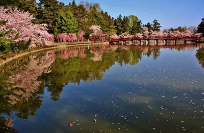 🌸 사루카 공원(사루카 코엔) 이미지 2